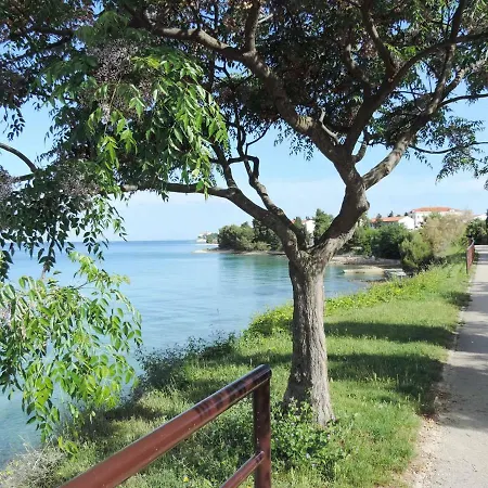 & Room's Anni 招待所 扎达尔